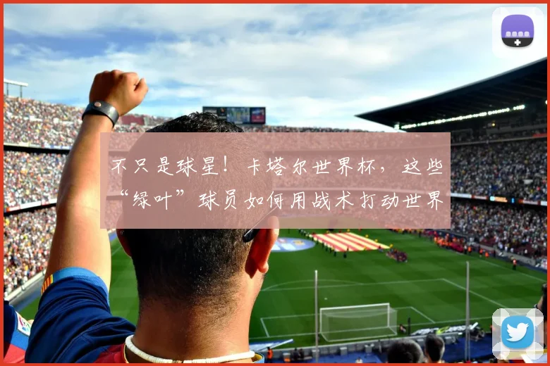 不只是球星！卡塔尔世界杯，这些“绿叶”球员如何用战术打动世界