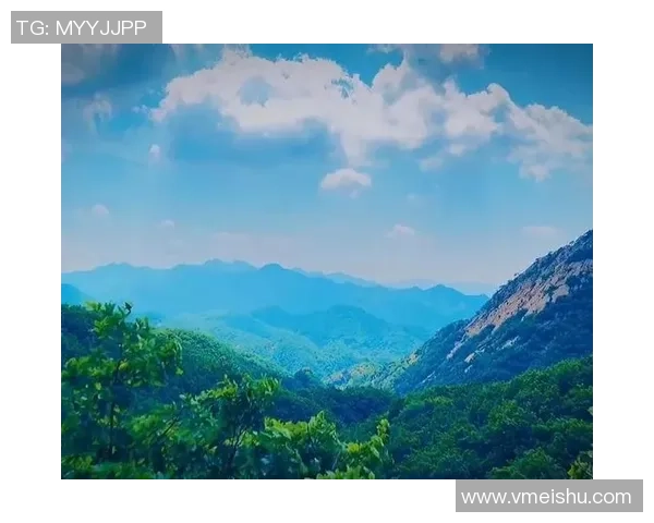 攀岩人生的高峰与低谷陈磊分享他的攀岩旅程与心路历程