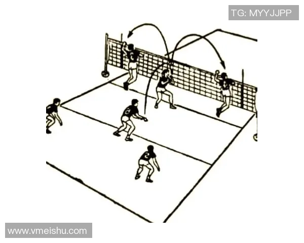 武汉排球队进攻体系解析：排球战术的创新与实践探讨